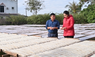 Làng nghề mỳ Chũ Nam Dương: Nhộn nhịp mùa hàng Tết